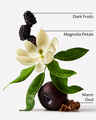 Oud Berry Fine Fragrance Mist