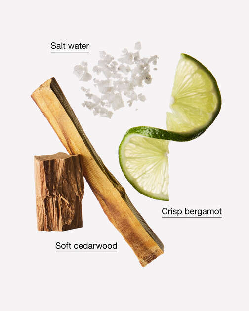 Cedarwood Forest Gentle & Clean Foaming Hand Soap