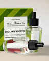 The Lawn Whisperer Wallflowers Refills 2-Pack
