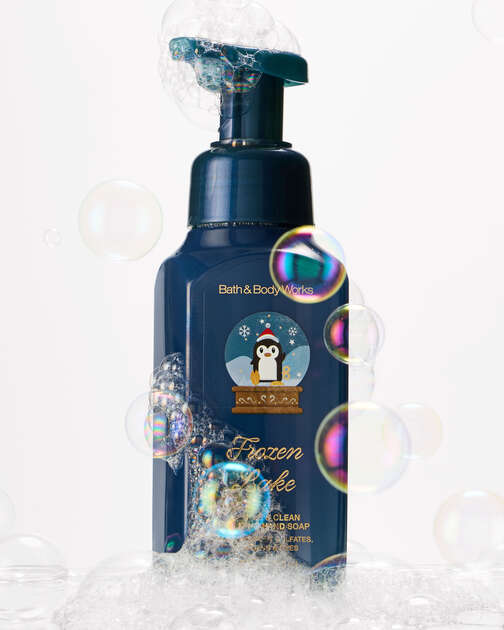 Frozen Lake Gentle & Clean Foaming Hand Soap