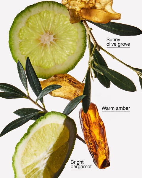 Olive Leaf & Bergamot Wallflowers Fragrance Refill