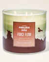 Force Flow 3-Wick Candle