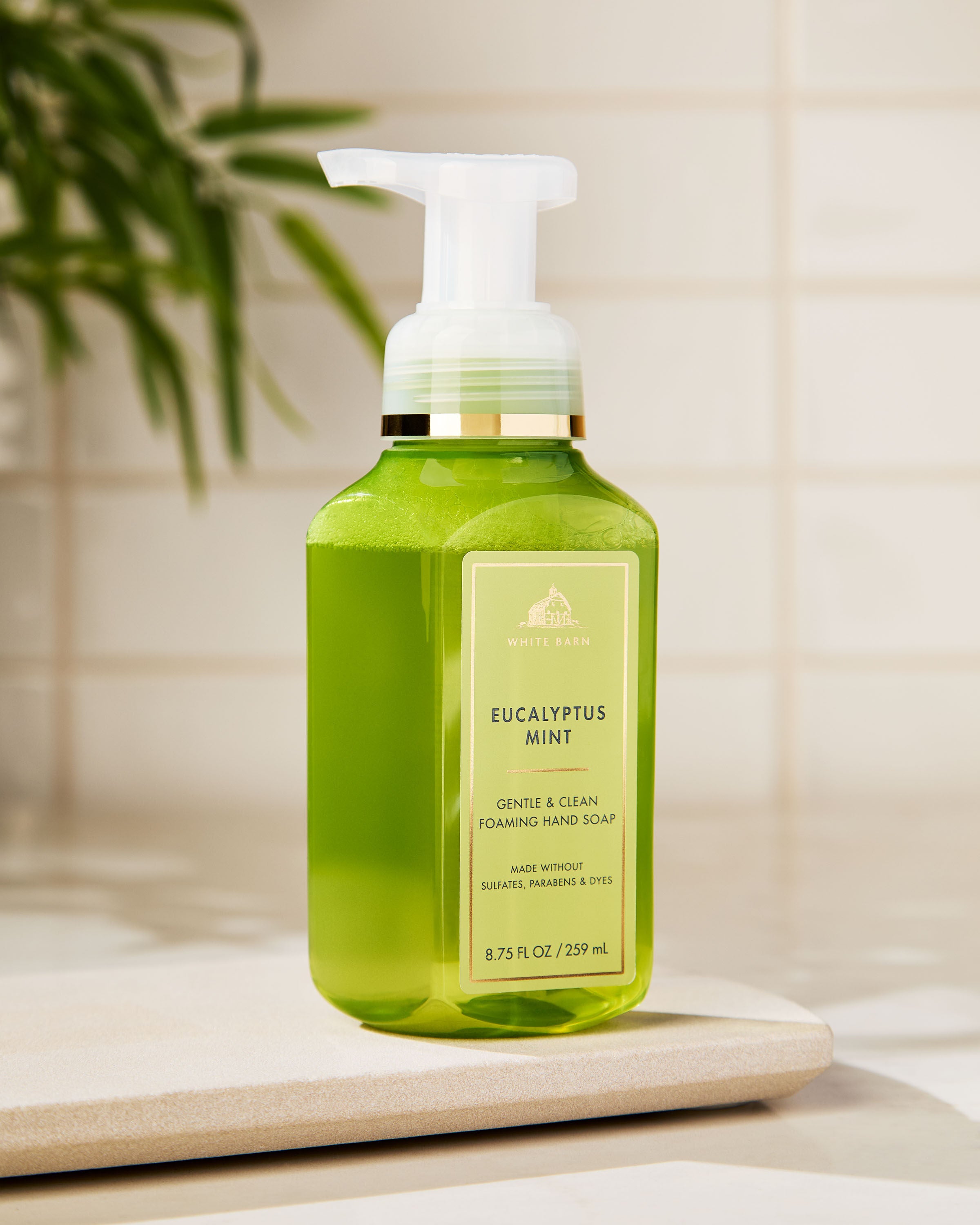 Eucalyptus Mint Foaming Hand Soap | Bath & Body Works