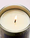 Fresh Cut Lilacs Single Wick Candle