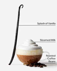 Freshly Brewed Coffee 3-Wick Candle