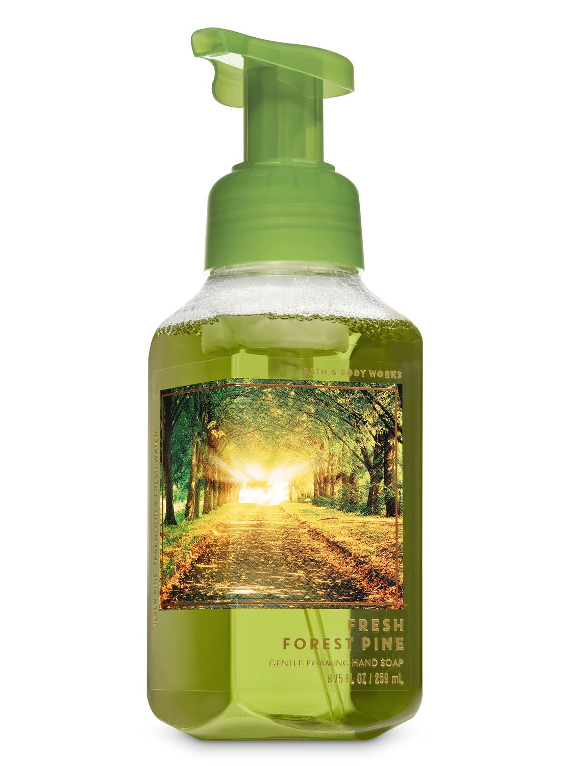 Fresh Forest Pine Gentle Foaming Hand Soap - Bath And Body Works
