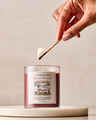 Praline Delight Single Wick Candle