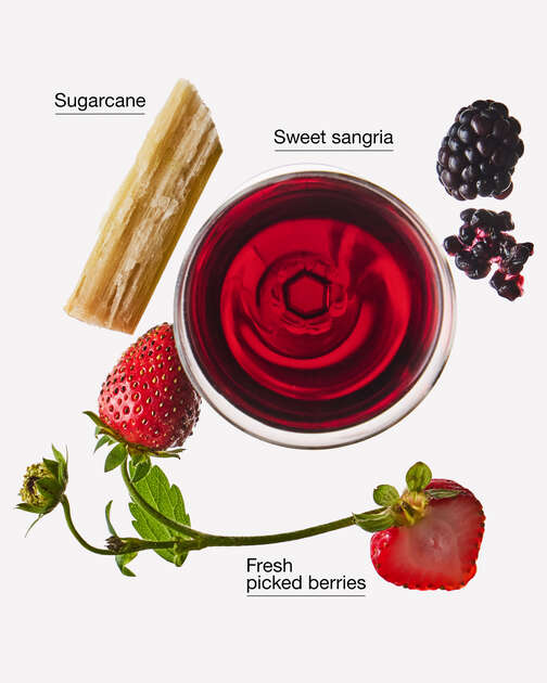 Fresh Berry Sangria Wallflowers Fragrance Refill