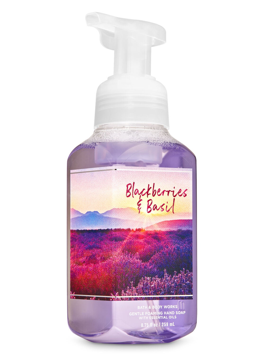 Blackberries & Basil Gentle Foaming Hand Soap - Bath And Body Works