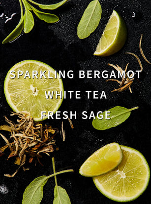 White Tea &amp; Sage Fragrance Booster