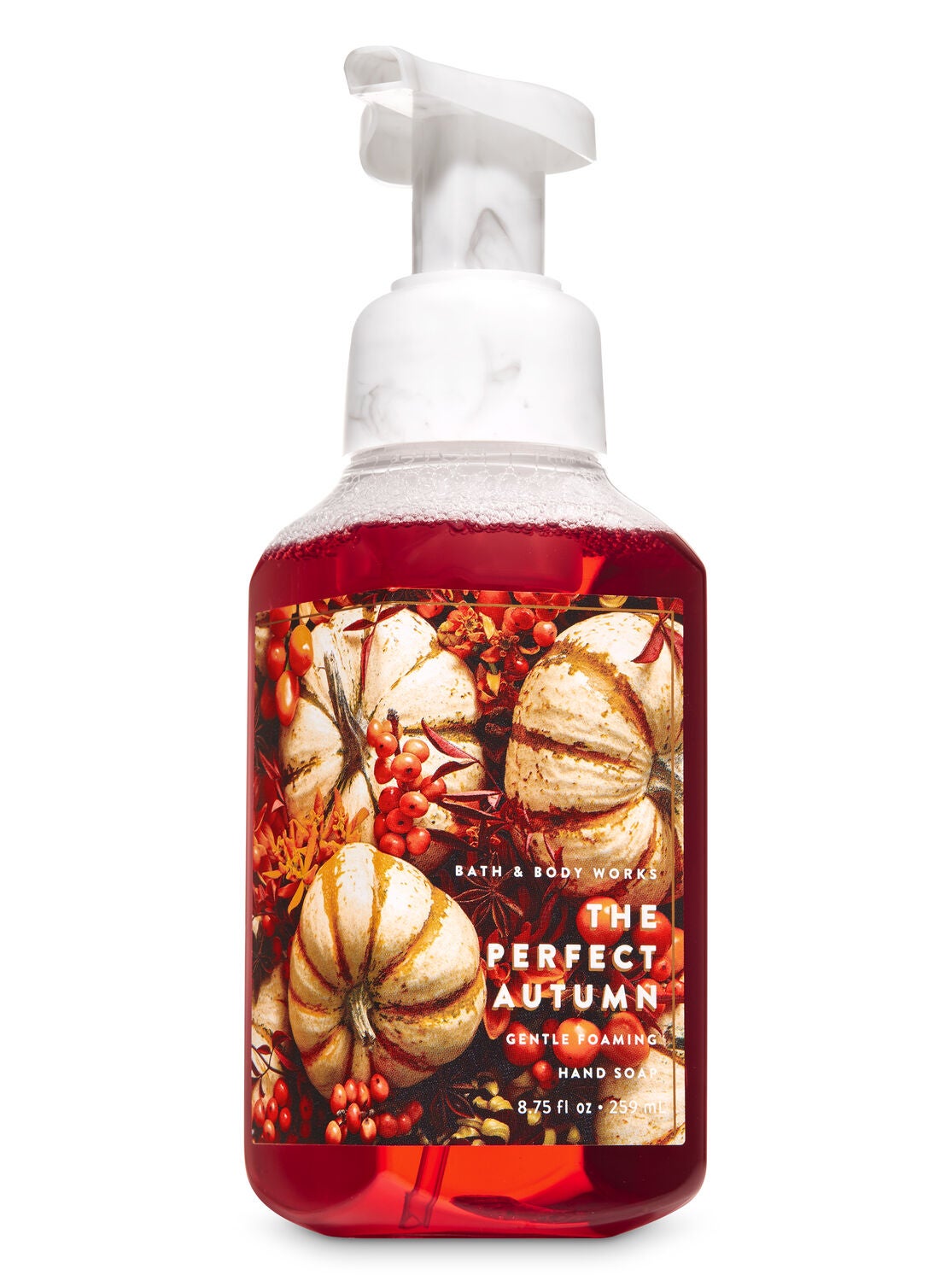 The Perfect Autumn Gentle Foaming Hand Soap - Bath And Body Works