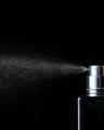 Lasting Legacy Cologne