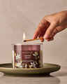 Vanilla Birch 3-Wick Candle