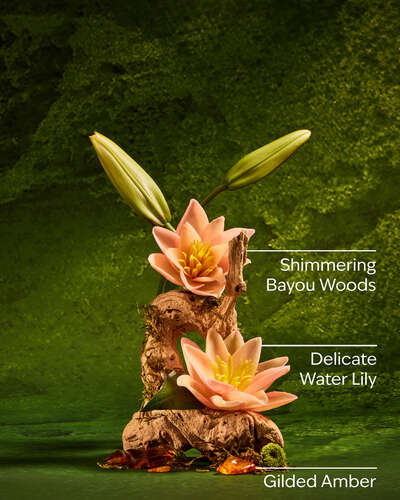 Tiana Gentle & Clean Foaming Hand Soap