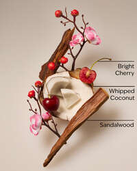 Tropical Cherry Wallflowers Fragrance Refill