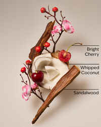 Tropical Cherry Wallflowers Fragrance Refill