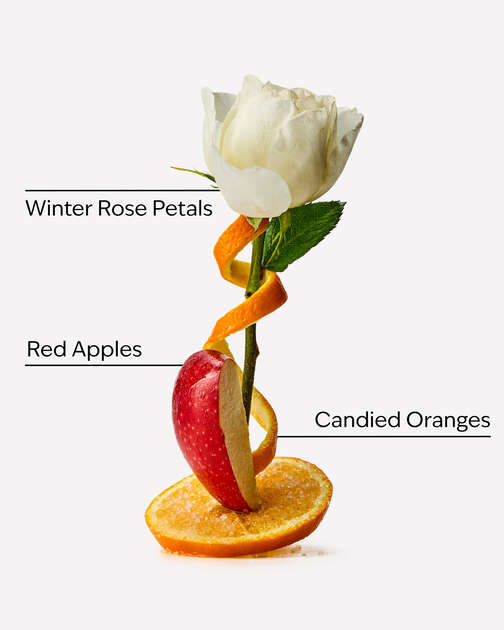 Winter Candy Apple Hand Cream