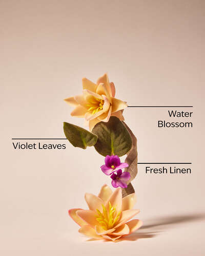 Saltwater Breeze Body Wash