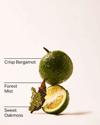 A Quiet Escape Wallflowers Fragrance Refill