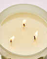 Laundry Day 3-Wick Candle