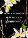 Moonlit Goddess Fragrance Booster