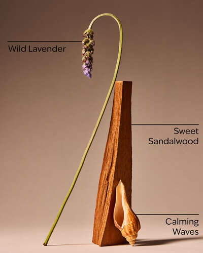 Oceanside Lavender Single Wick Candle