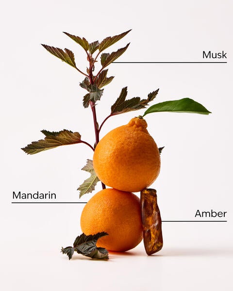Cashmere Amber Eau De Parfum