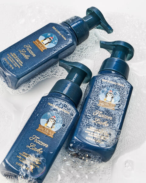 Frozen Lake Gentle & Clean Foaming Hand Soap