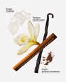 Cinnamon Spiced Vanilla Wallflowers Refills 2-Pack