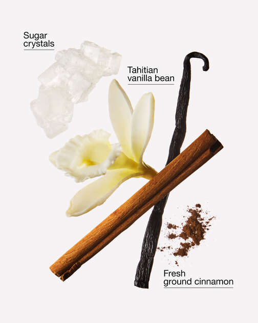 Cinnamon Spiced Vanilla Wallflowers Refills 2-Pack