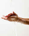 Woodland Evening Gentle & Clean Foaming Hand Soap