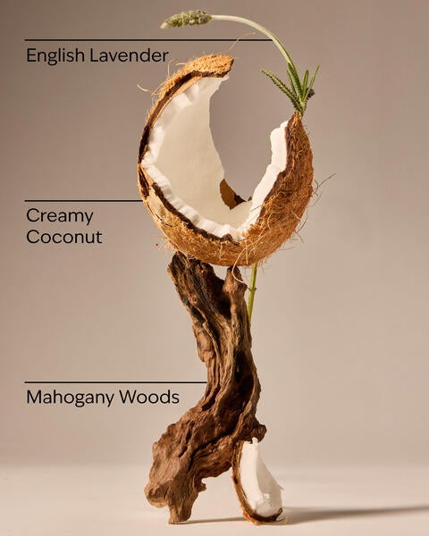 Mahogany Coconut Car Fragrance Refill