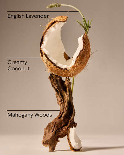 Mahogany Coconut Car Fragrance Refill