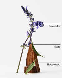 Lavender + Jasmine 4-Wick Candle