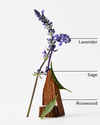 Lavender + Jasmine 4-Wick Candle