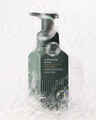 Cedarwood Forest Gentle & Clean Foaming Hand Soap