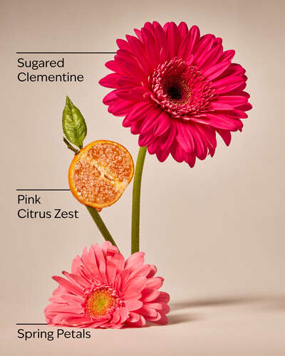 Pink Clementine Cleansing Gel Hand Soap