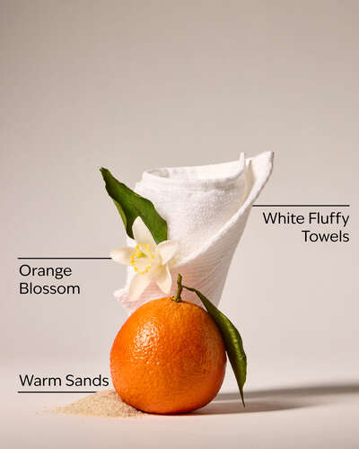 Beach Cabana 3-Wick Candle