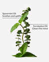 Eucalyptus Spearmint Moisturizing Body Lotion