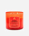 Sunny Coconut 3-Wick Candle