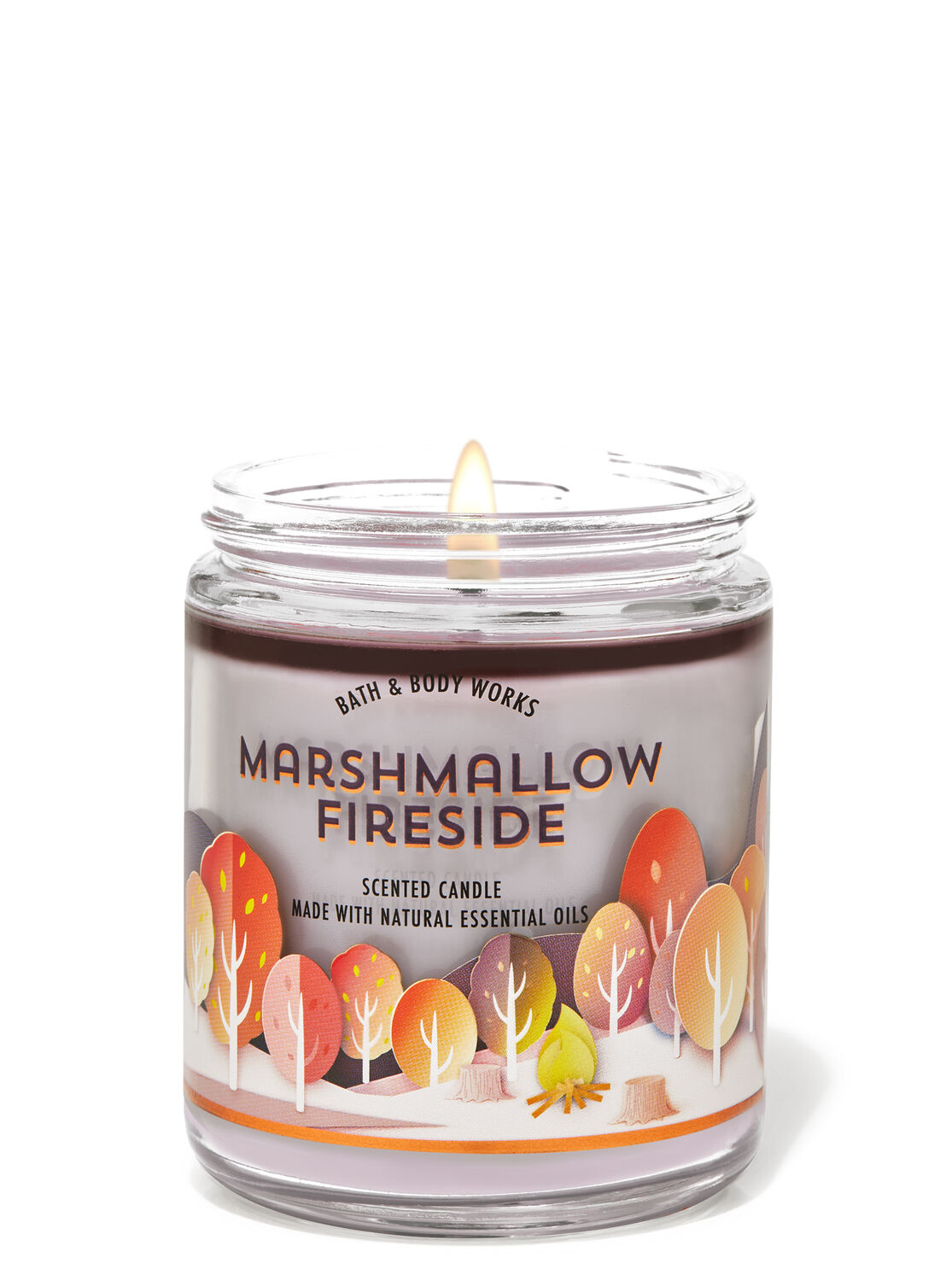 1 Bath & Body Works CAMPFIRE PUMPKIN Large 3-Wick Scented Candle 14.5 oz 