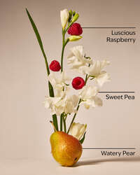 Sweet Pea Body Wash