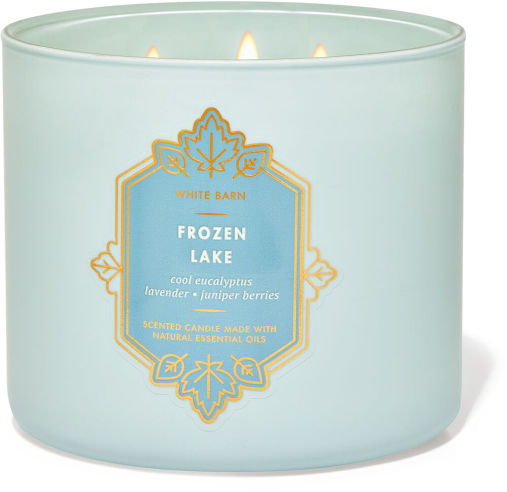 BATH & BODY WORKS FROZEN LAKE SCENTED CANDLE 3 WICK LARGE 14.5OZ BLUE JUNIPER 