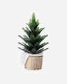 Evergreen Tree Nightlight Wallflowers Fragrance Plug