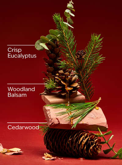 Fresh Balsam 3-Wick Candle