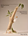 Sea Salt & Driftwood Wallflowers Fragrance Refill