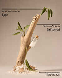 Sea Salt & Driftwood Wallflowers Fragrance Refill
