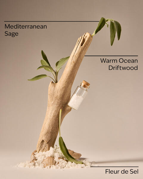 Sea Salt & Driftwood Wallflowers Fragrance Refill
