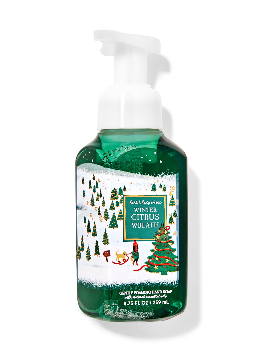 Winter Citrus Wreath Gentle Foaming Hand Soap
