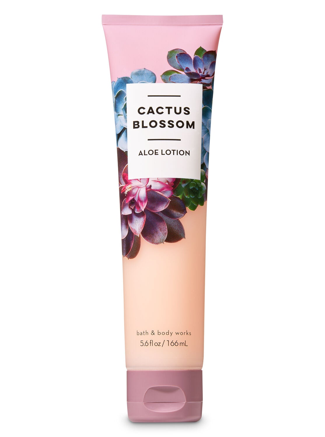 Signature Collection Cactus Blossom Aloe Lotion - Bath And Body Works